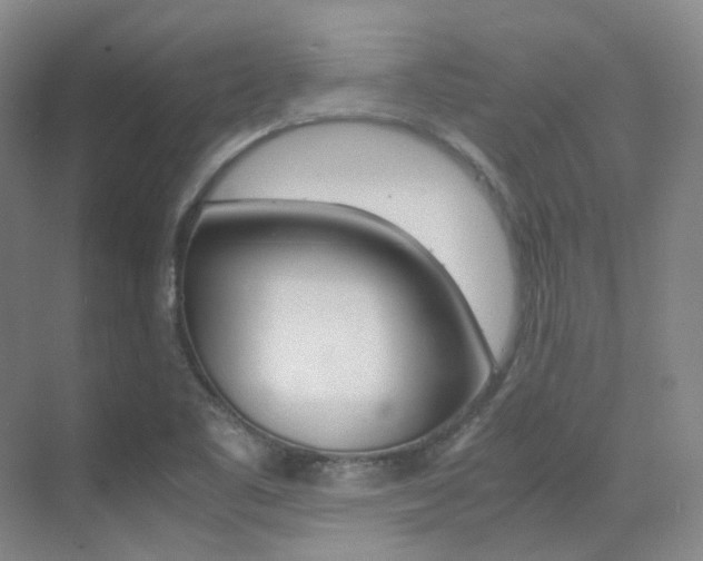 X0000070251461200606020946