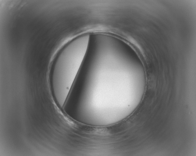 X0000070251464200606020946