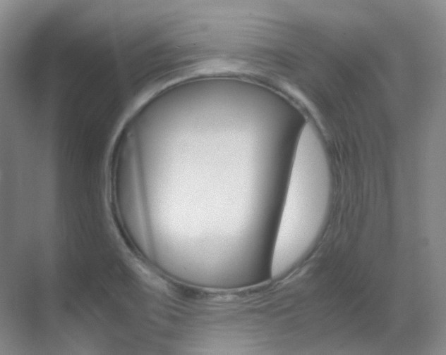 X0000070251467200606020946