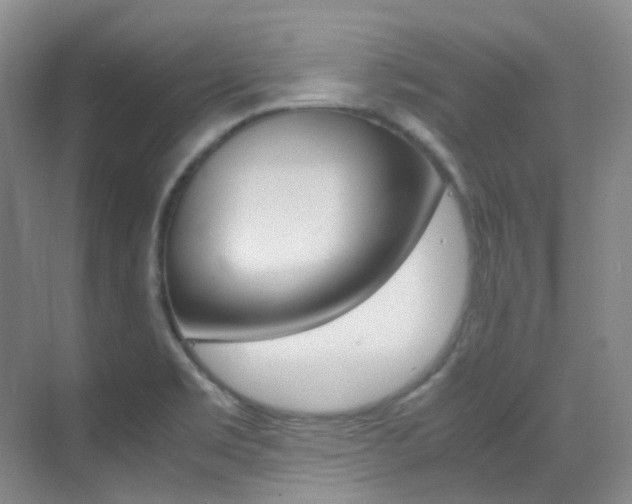 X0000070251469200606020946