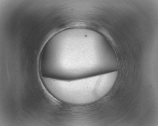 X0000070251475200606020946