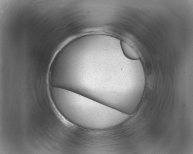 X0000070251482200606020946