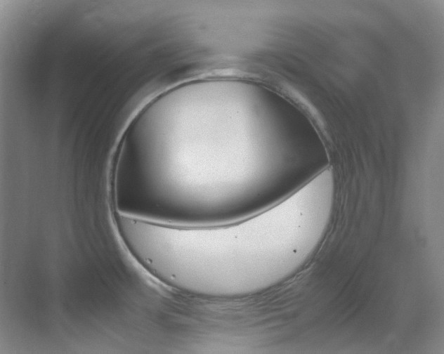 X0000070251483200606020946