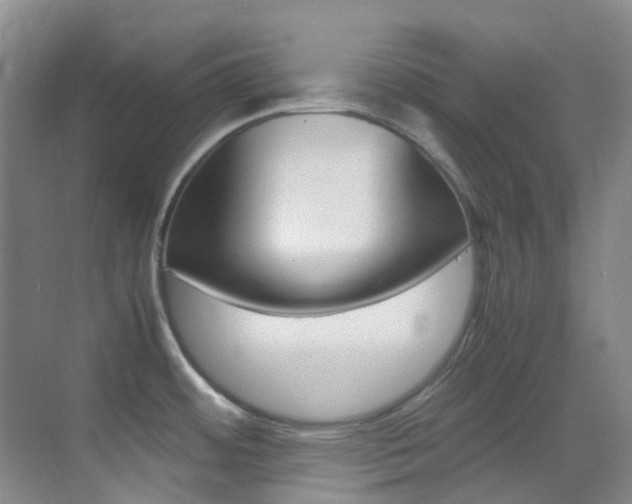X0000070251484200606020946
