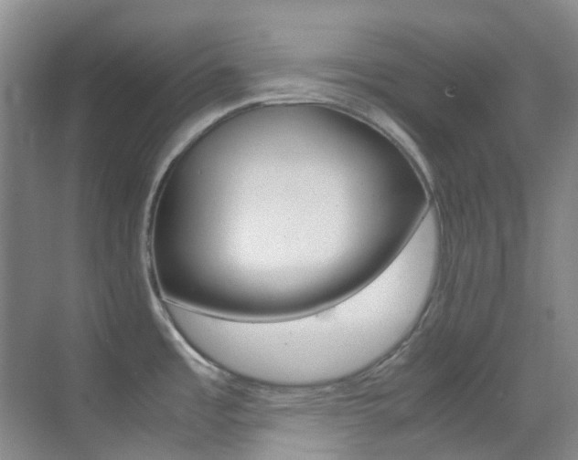 X0000070251485200606020945