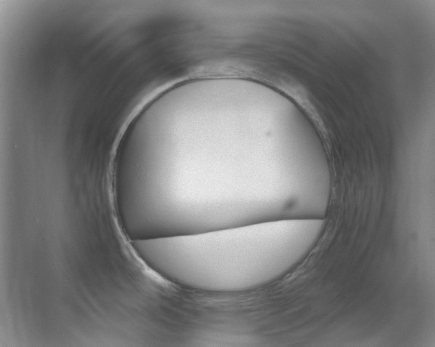 X0000070251486200606020945