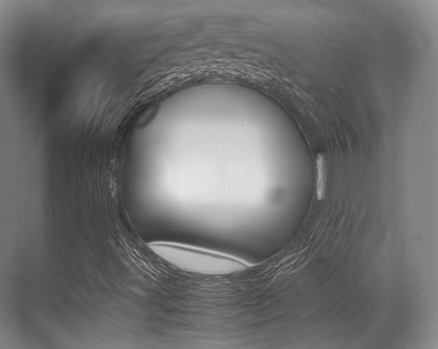X0000070251491200606020945
