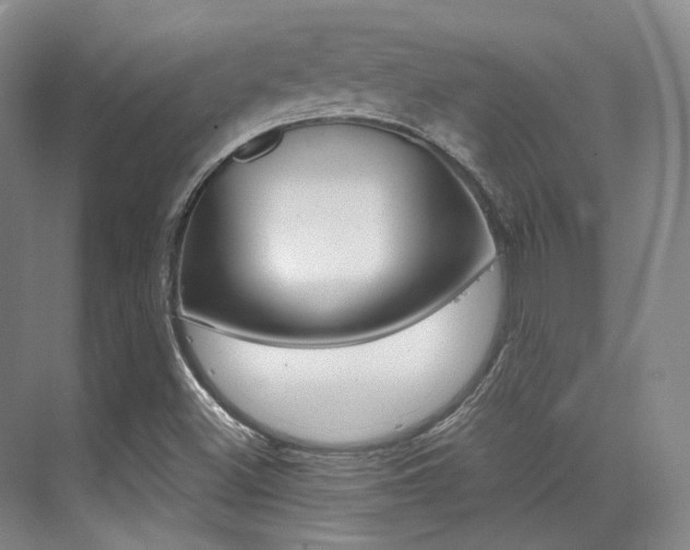 X0000070251500200606020945