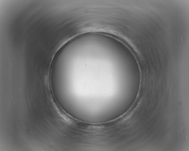 X0000070251513200606020945