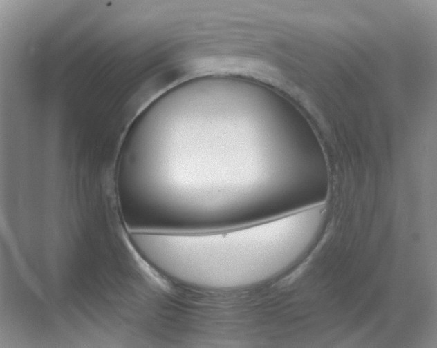 X0000070251521200606020945