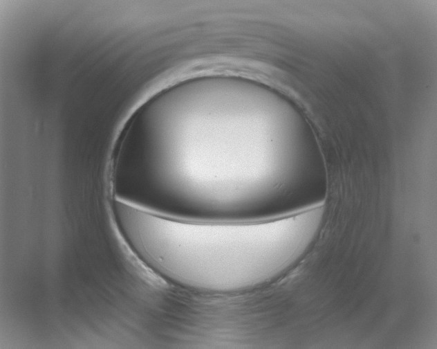 X0000070251522200606020945