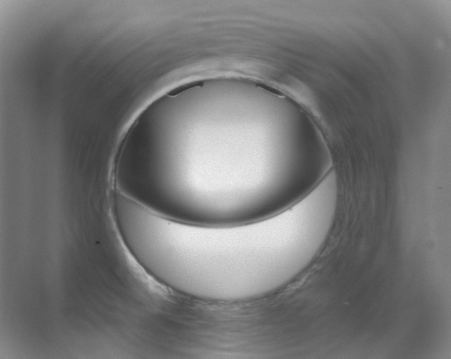 X0000070251524200606020945