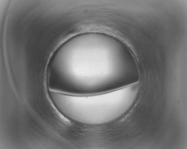 X0000070251525200606020945