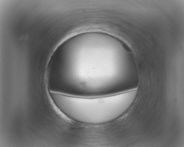 X0000070251526200606020945