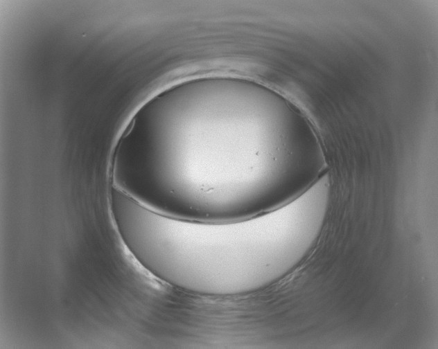 X0000070251532200606020945