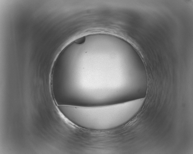 X0000070251535200606020945