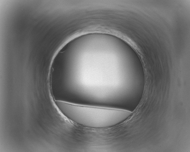X0000070251536200606020945