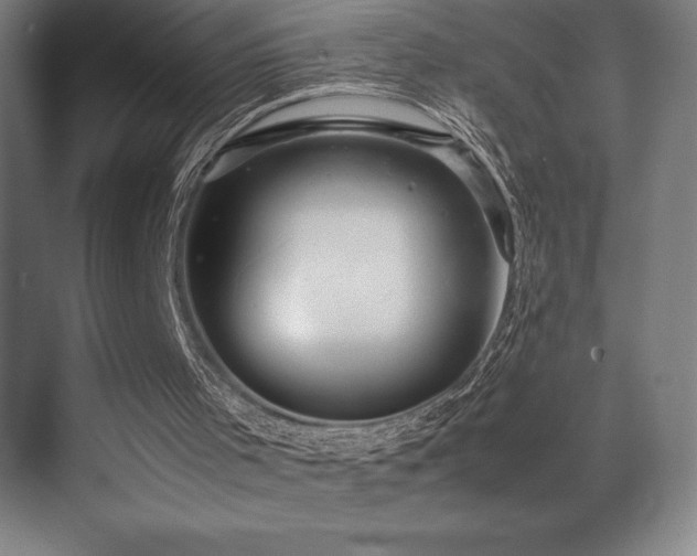 X0000070250001200606021208