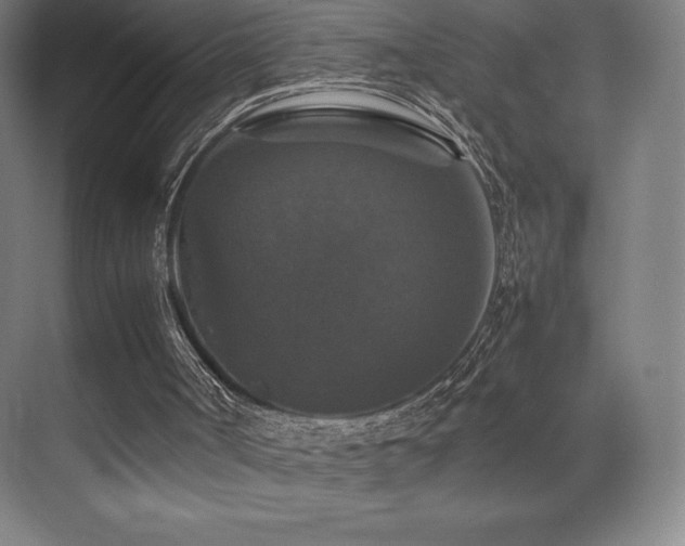 X0000070250002200606021208