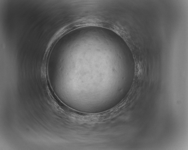 X0000070250004200606021208