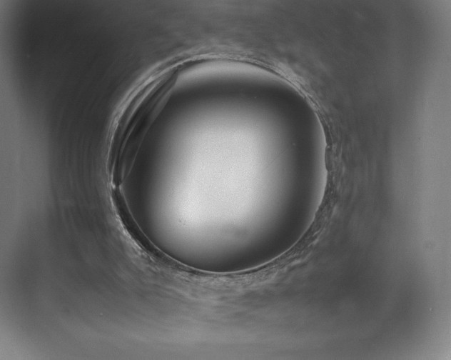 X0000070250007200606021208