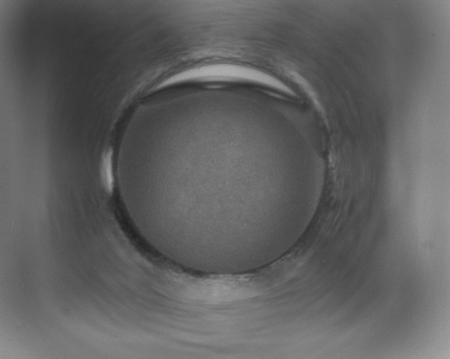 X0000070250020200606021207