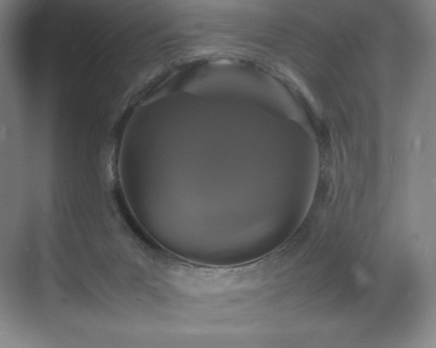 X0000070250023200606021207