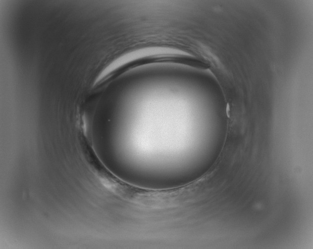 X0000070250025200606021207