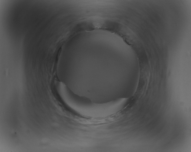 X0000070250031200606021207