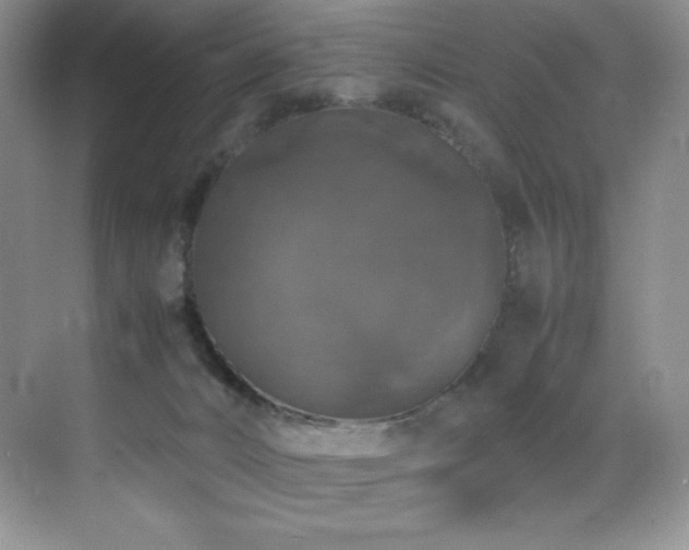 X0000070250032200606021207