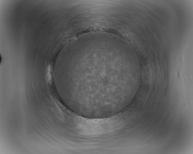 X0000070250038200606021207