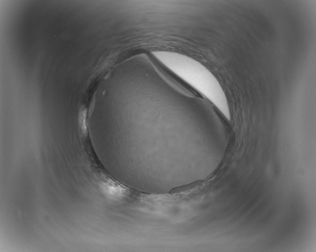 X0000070250041200606021207