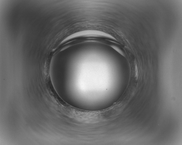 X0000070250044200606021207