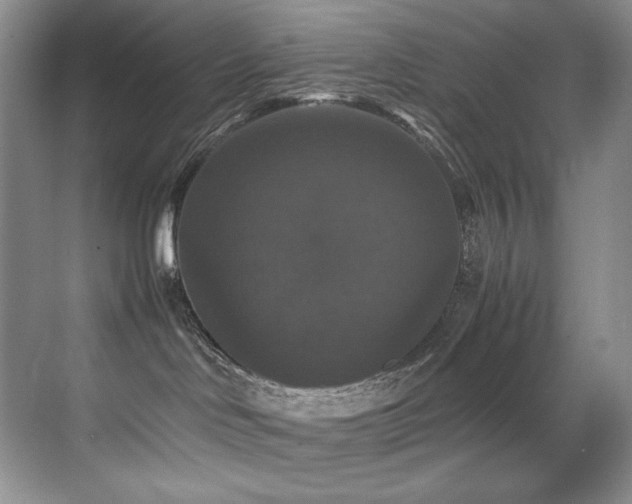 X0000070250046200606021207