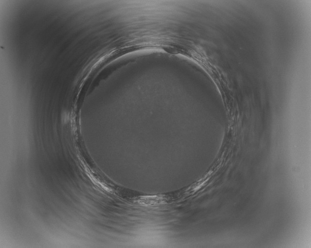 X0000070250050200606021206