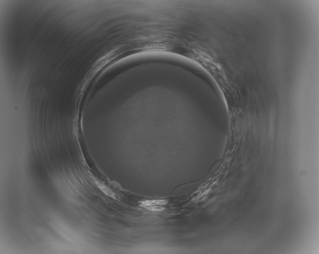 X0000070250051200606021206