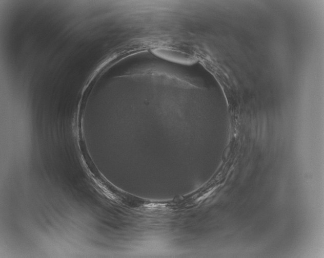 X0000070250052200606021206