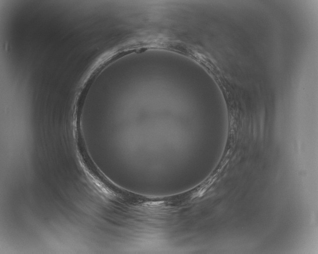 X0000070250054200606021206