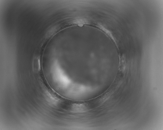 X0000070250061200606021206