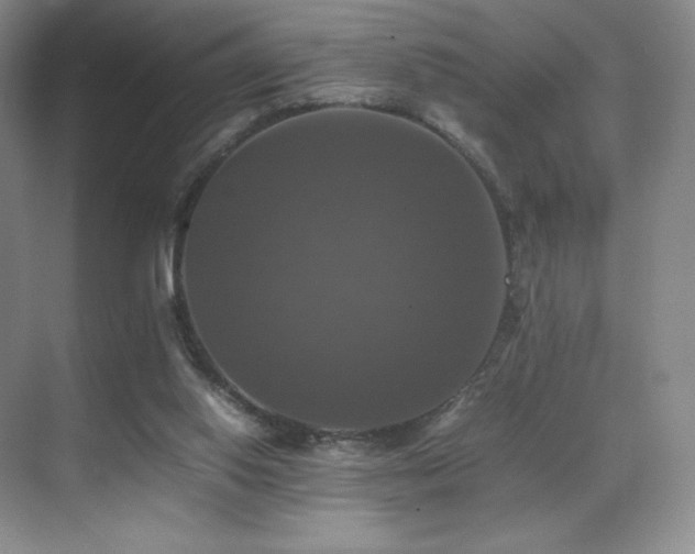 X0000070250062200606021206
