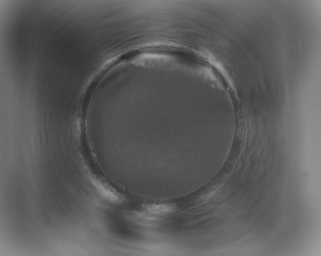 X0000070250063200606021206