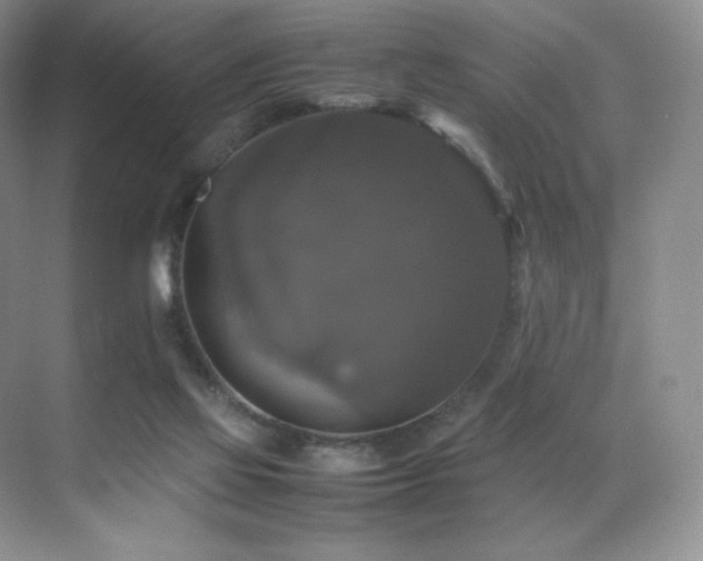 X0000070250069200606021207