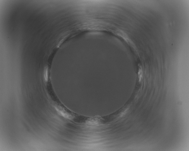 X0000070250076200606021207
