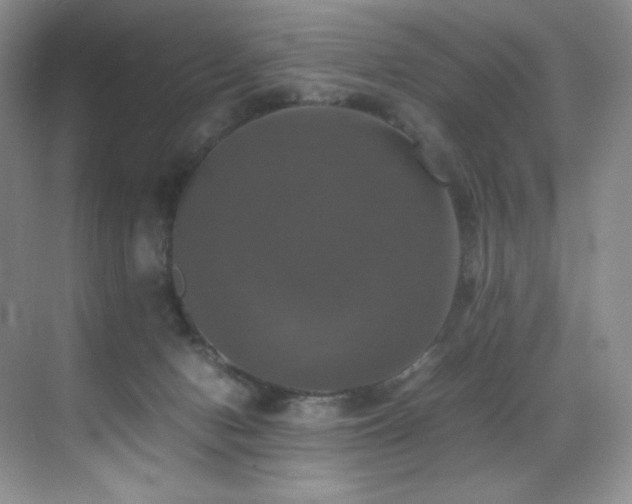 X0000070250078200606021207