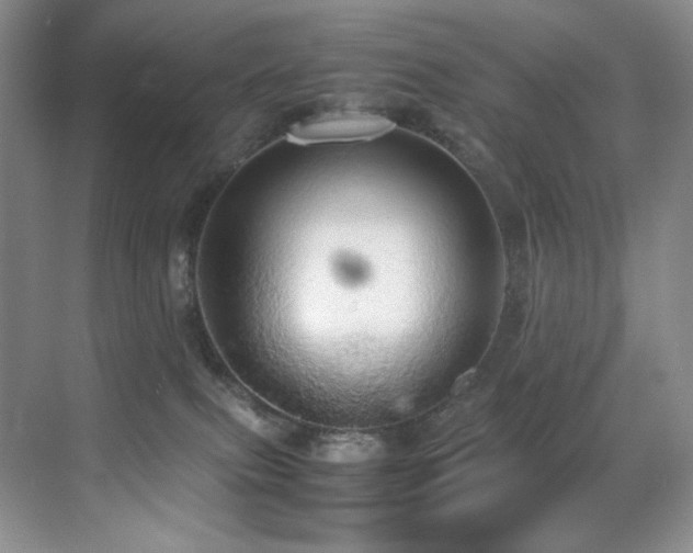 X0000070250087200606021207