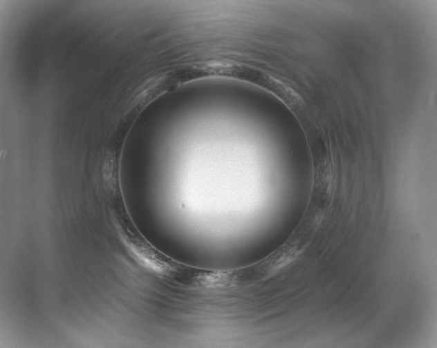 X0000070250092200606021207