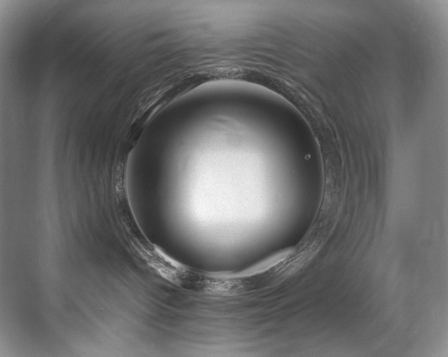 X0000070250096200606021207