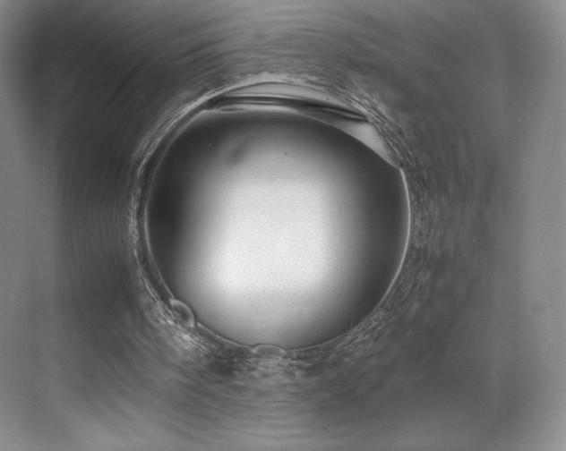 X0000070250098200606021206