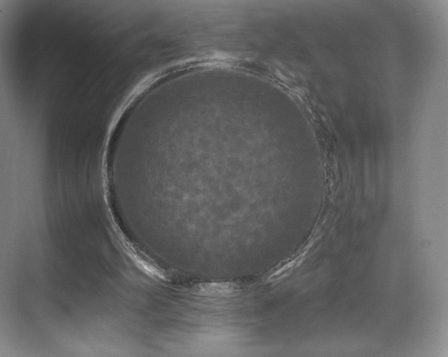 X0000070250102200606021206