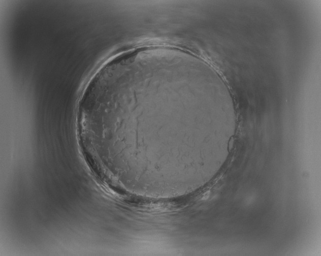 X0000070250103200606021206